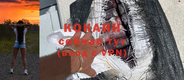 ГАЛЛЮЦИНОГЕННЫЕ ГРИБЫ Богданович