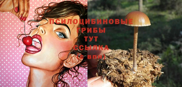 мяу мяу кристалл Бородино