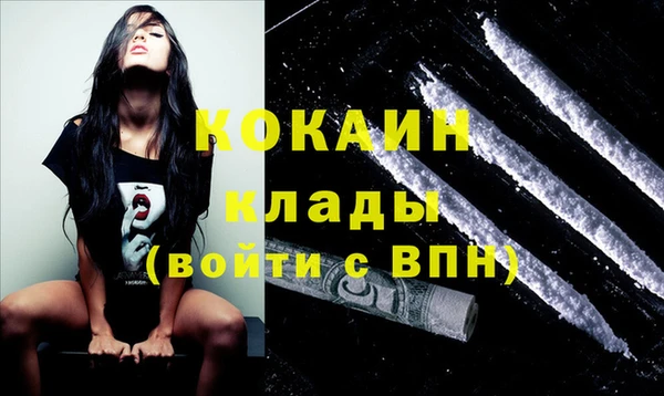 ГАЛЛЮЦИНОГЕННЫЕ ГРИБЫ Богданович