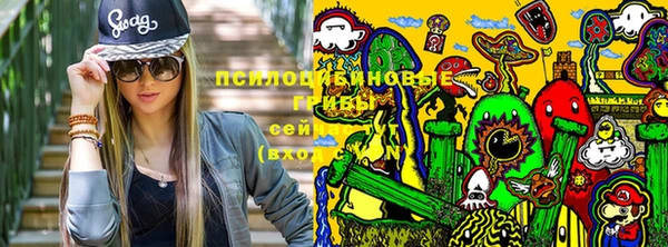Альфа ПВП Бугульма
